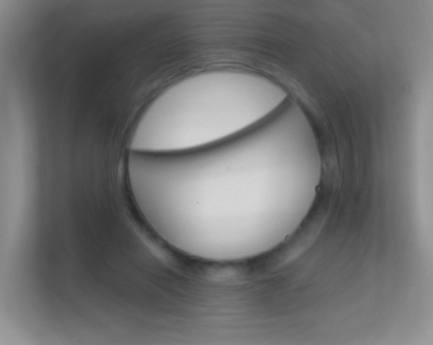 X0000112420454200908141049
