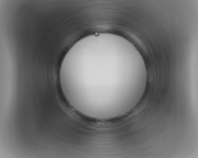 X0000112420455200908141049