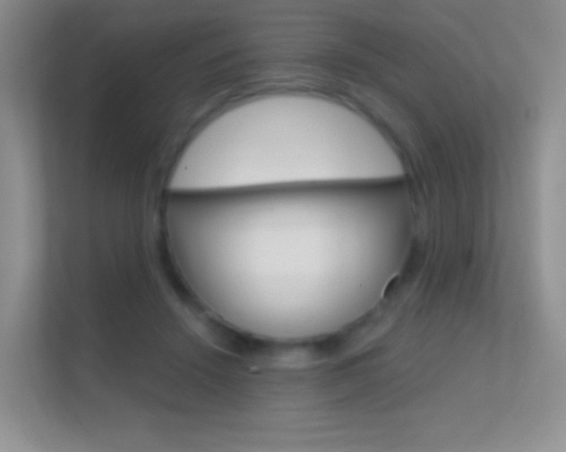 X0000112420456200908141049