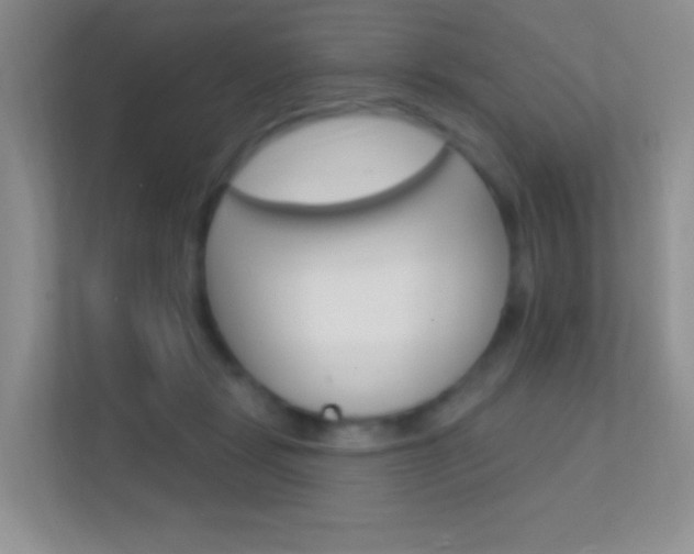X0000112420461200908141049