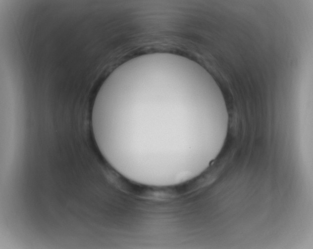 X0000112420466200908141049