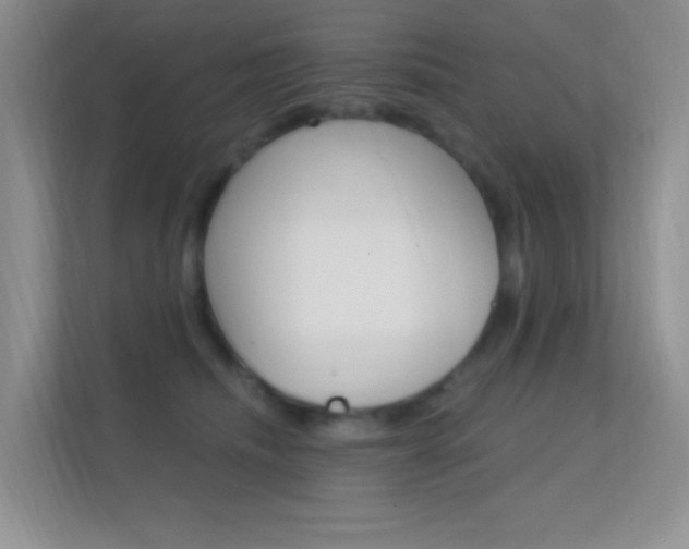 X0000112420468200908141049