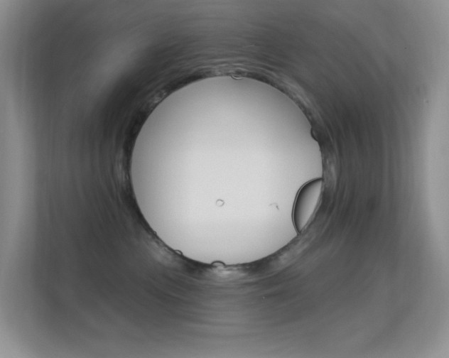 X0000112420477200908141049