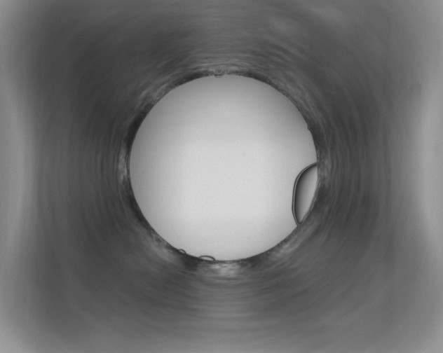 X0000112420478200908141049