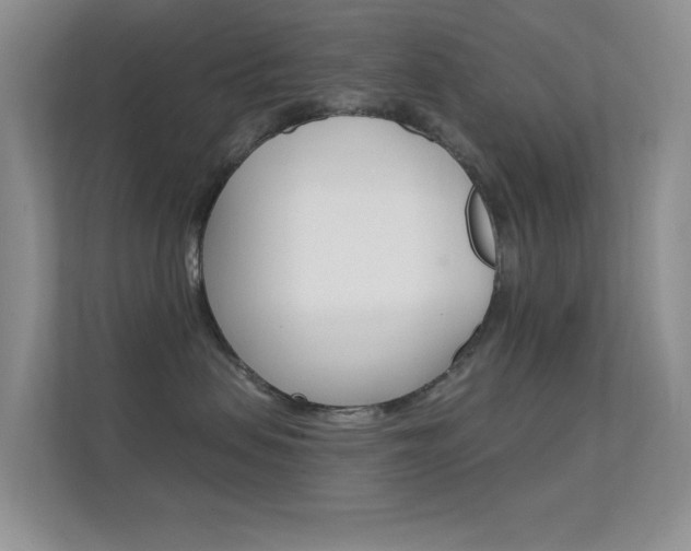 X0000112420479200908141049