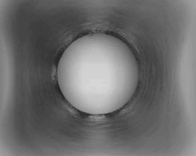 X0000112420480200908141049