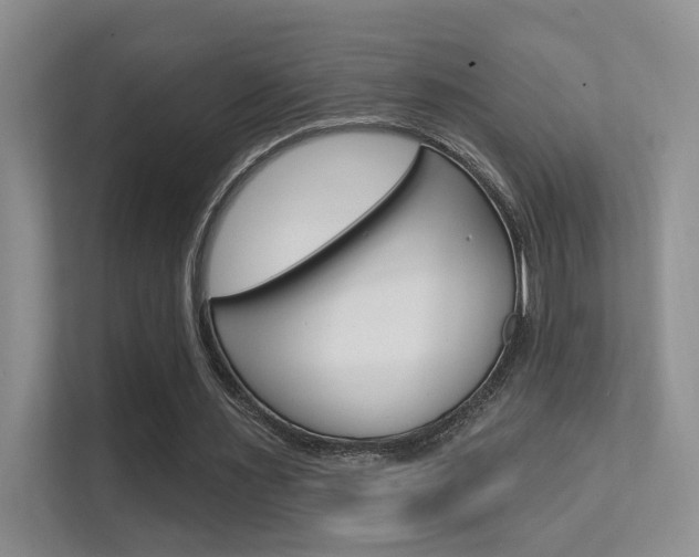 X0000112420483200908141048