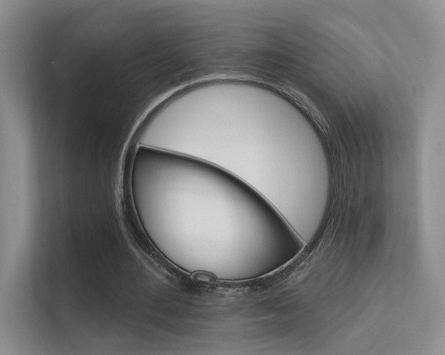 X0000112420484200908141048