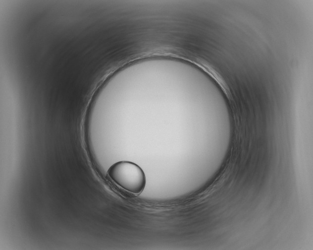 X0000112420485200908141048
