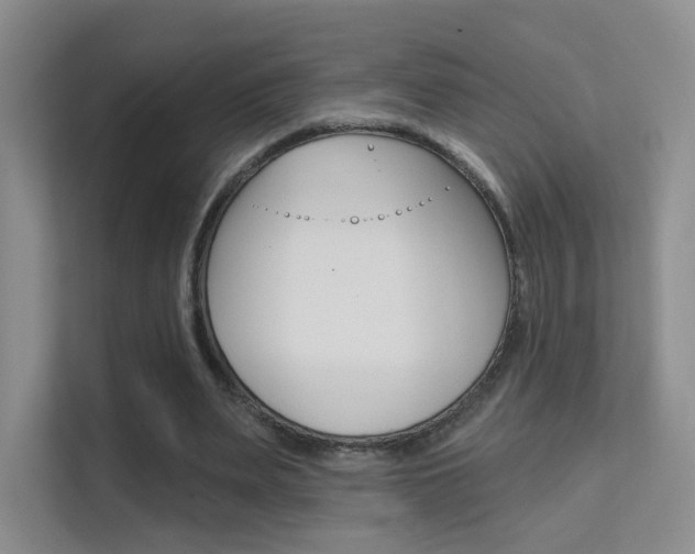 X0000112420487200908141048
