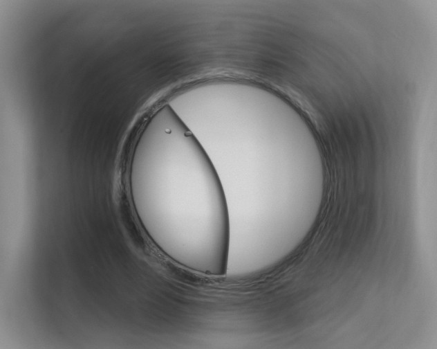 X0000112420488200908141048
