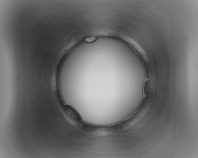 X0000112420489200908141048