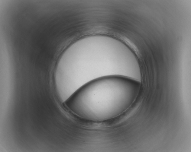X0000112420493200908141048