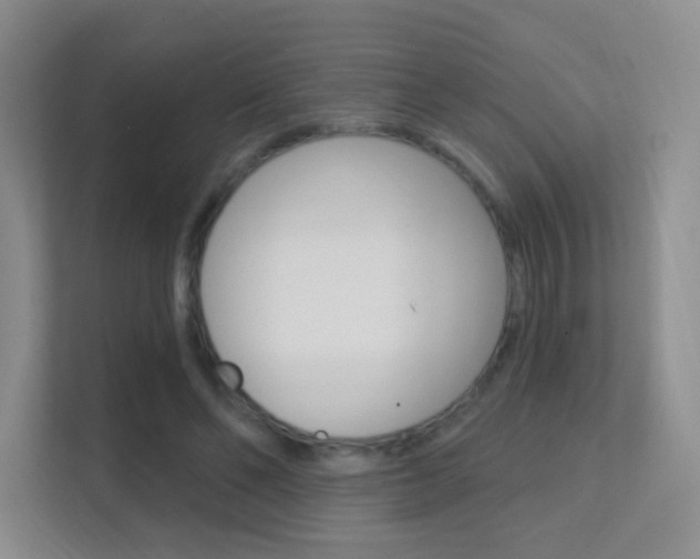 X0000112420494200908141048