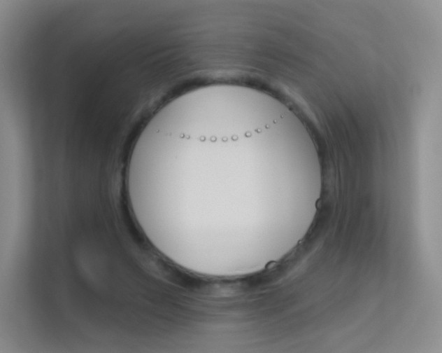 X0000112420495200908141048