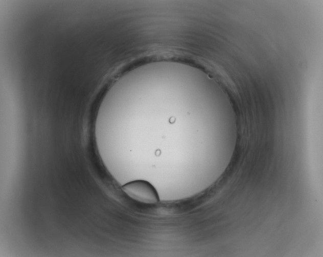 X0000112420496200908141048