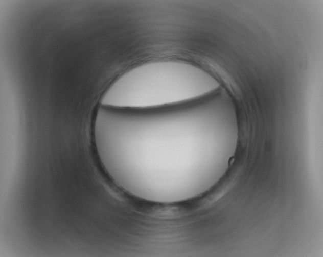 X0000112420497200908141048