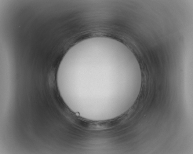 X0000112420498200908141048