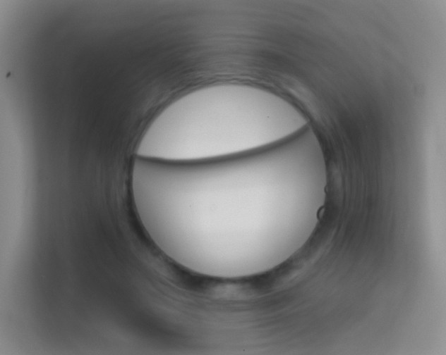 X0000112420499200908141048