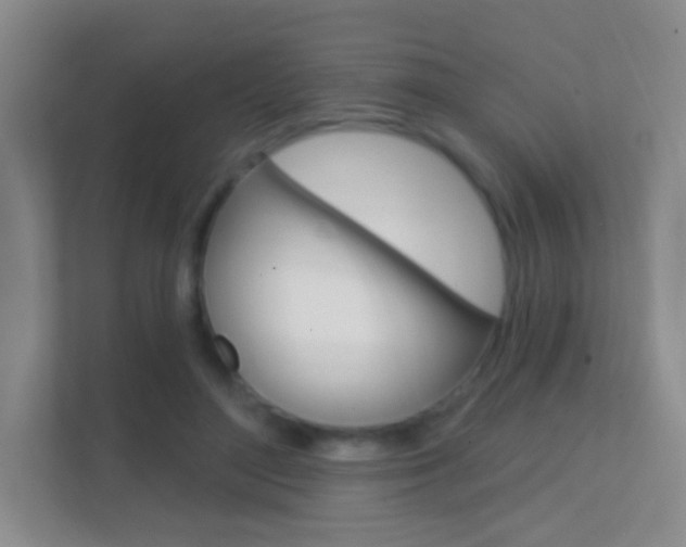 X0000112420500200908141048