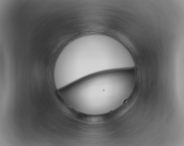 X0000112420501200908141048