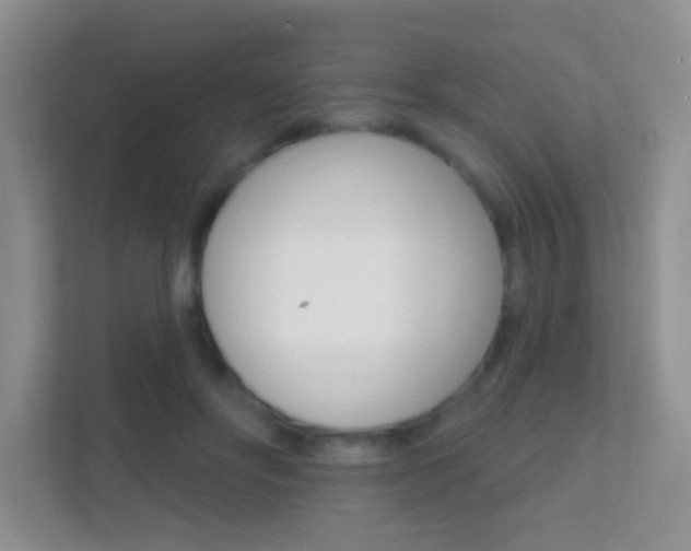 X0000112420502200908141048