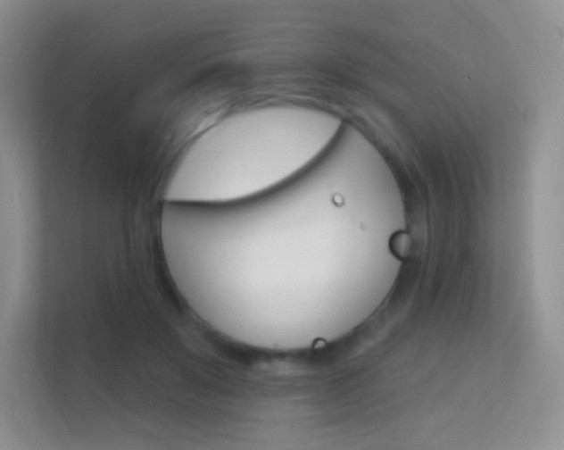 X0000112420503200908141048