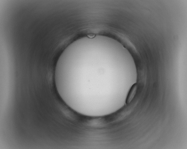 X0000112420505200908141048