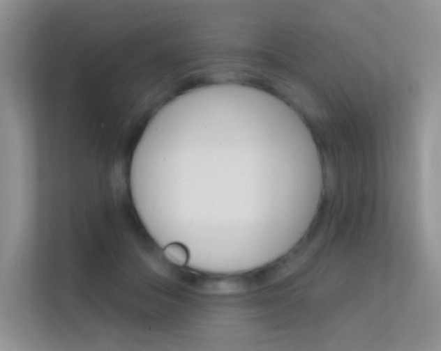 X0000112420506200908141048
