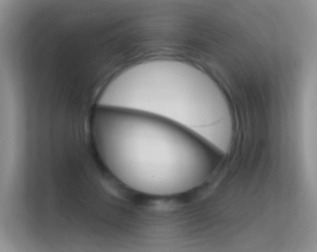 X0000112420508200908141048