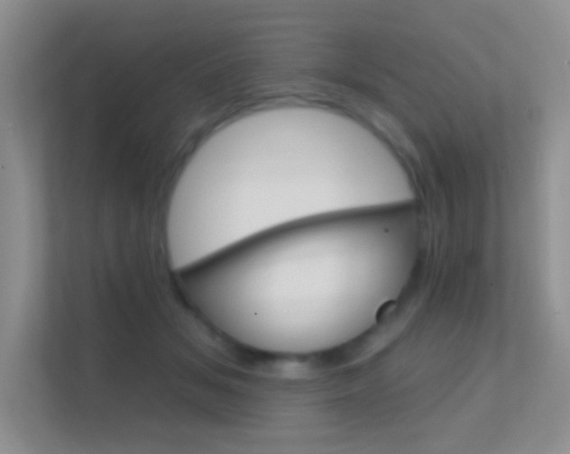 X0000112420509200908141048