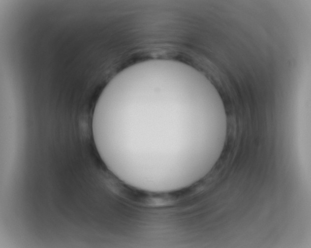 X0000112420510200908141048