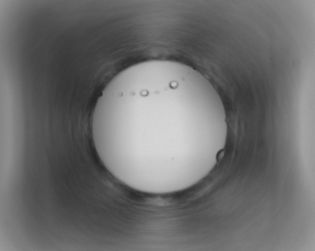 X0000112420511200908141048