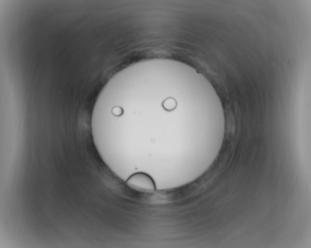 X0000112420518200908141048