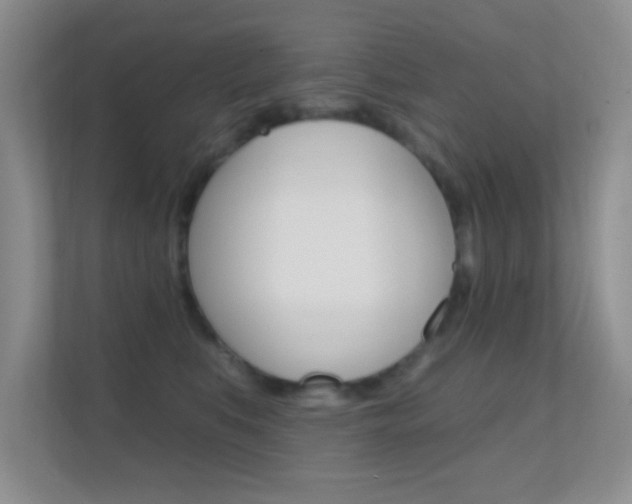 X0000112420519200908141048