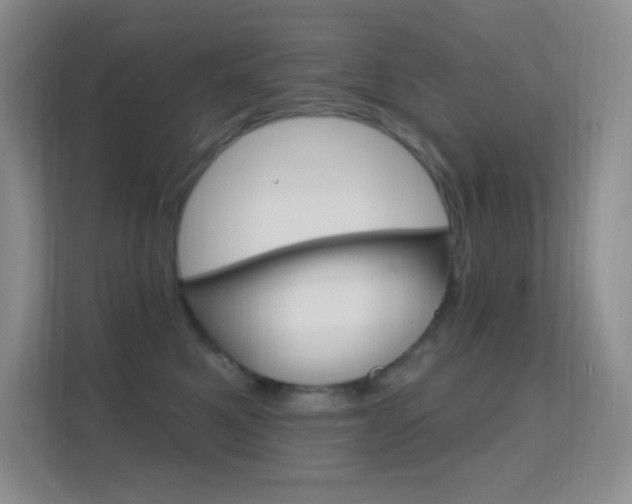 X0000112420521200908141048