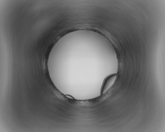 X0000112420525200908141048
