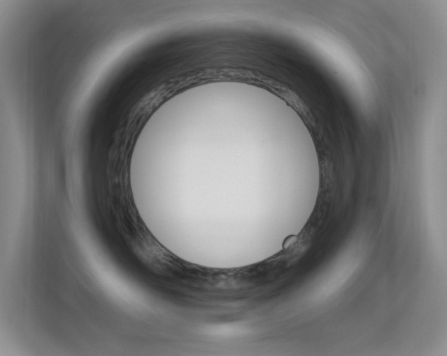 X0000112420526200908141048