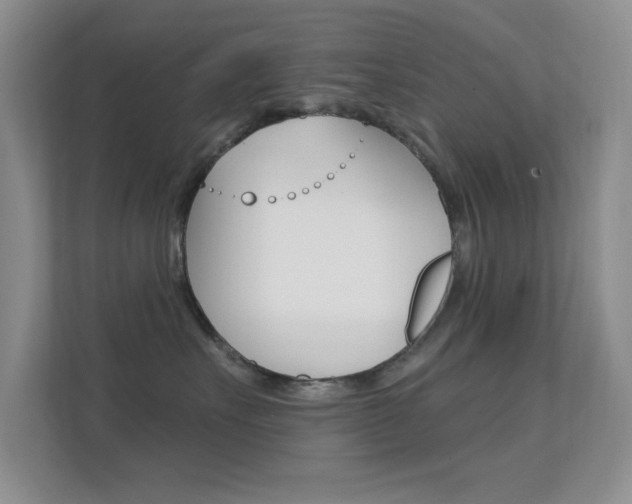 X0000112420527200908141048