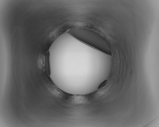 X0000112420528200908141048