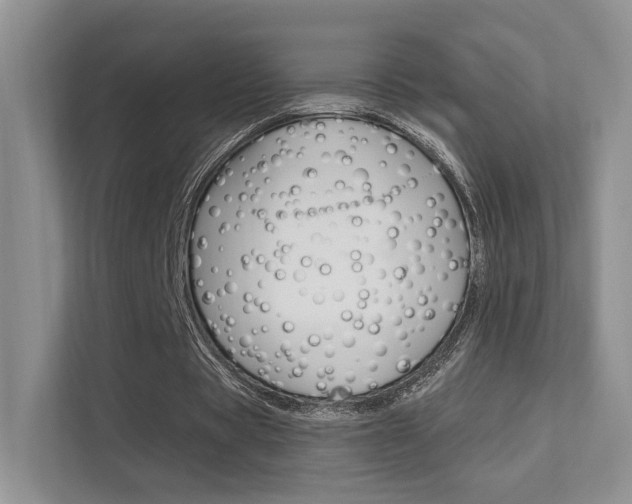 X0000112420529200908141047