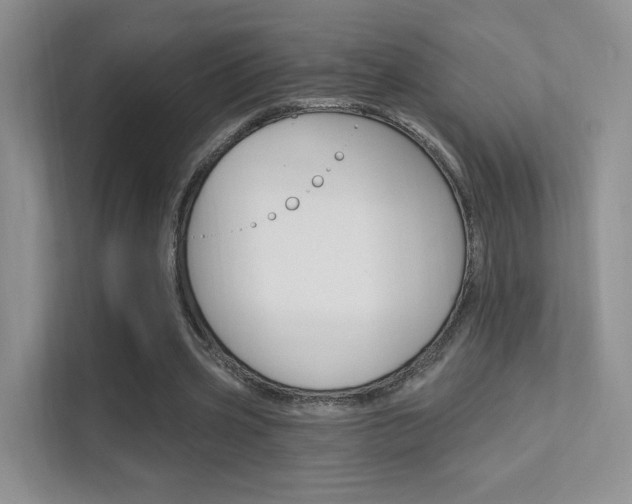 X0000112420533200908141047