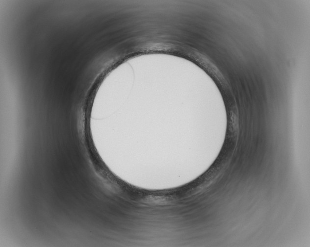 X0000112420534200908141047
