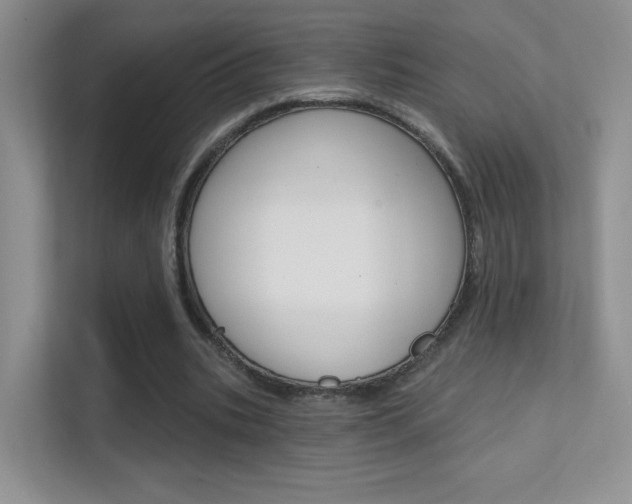 X0000112420535200908141047
