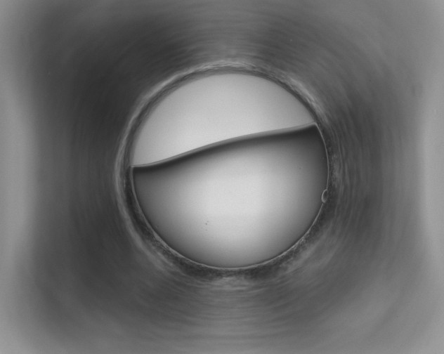 X0000112420536200908141047