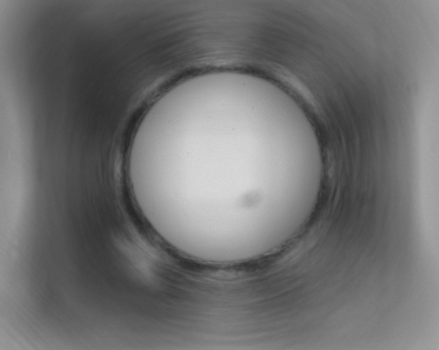 X0000112420542200908141047