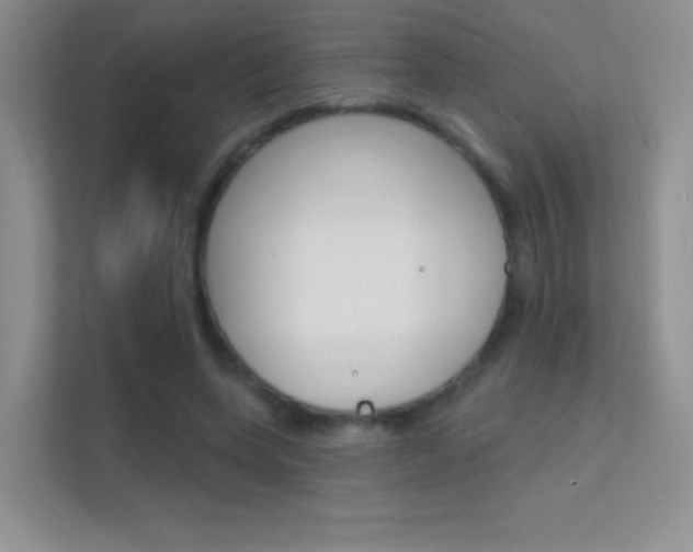 X0000112420543200908141047