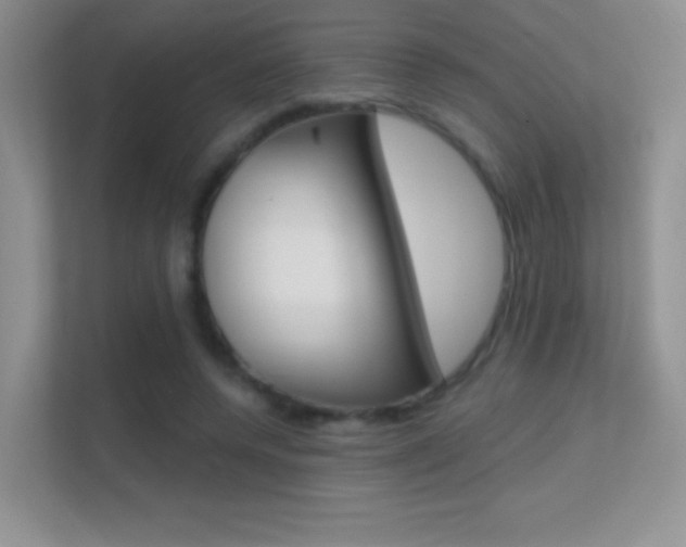 X0000112420544200908141047