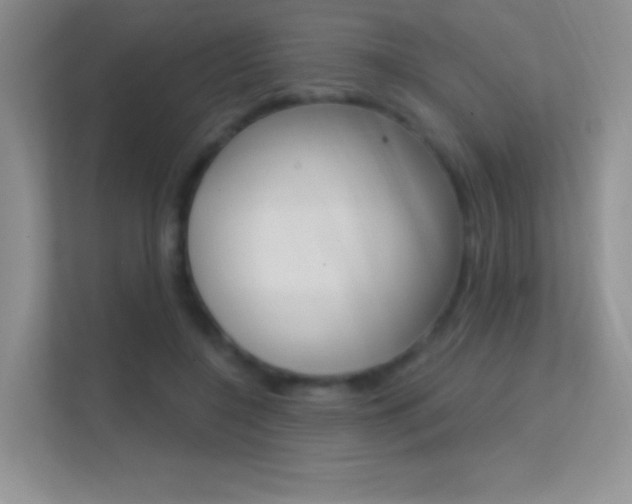 X0000112420548200908141047