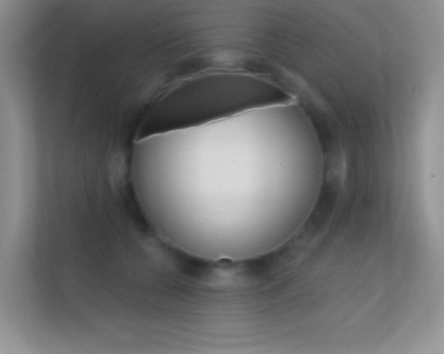 X0000112420560200908141048